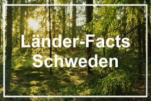 Schwedischer Wald