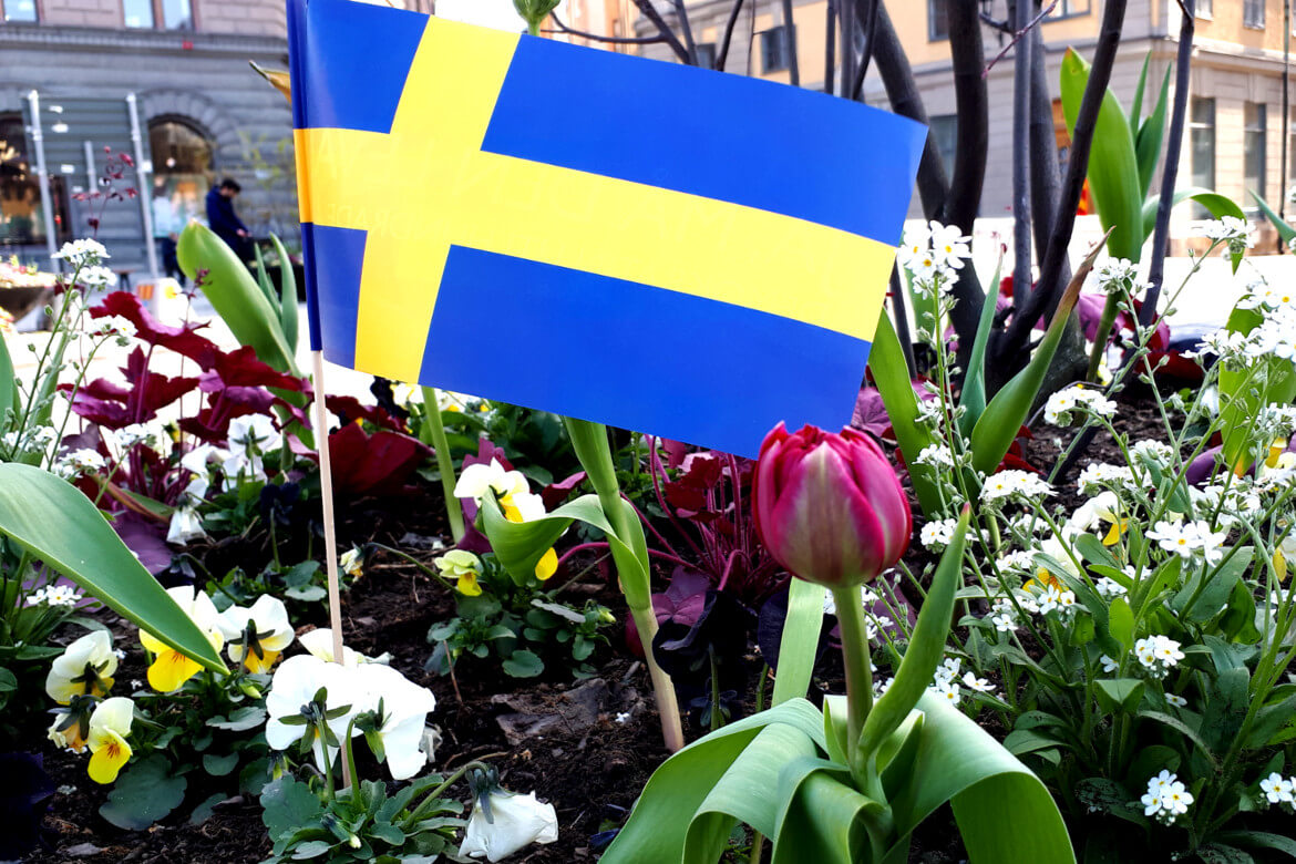 Schwedische Flagge in öffentlichem Blumenbeet