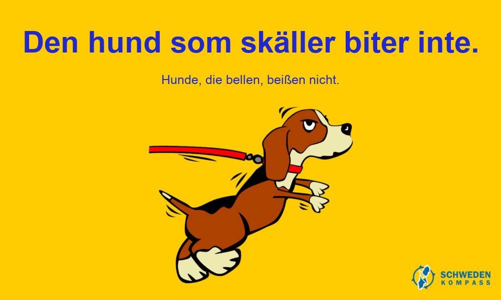 Infografik - Den hund som skäller biter inte